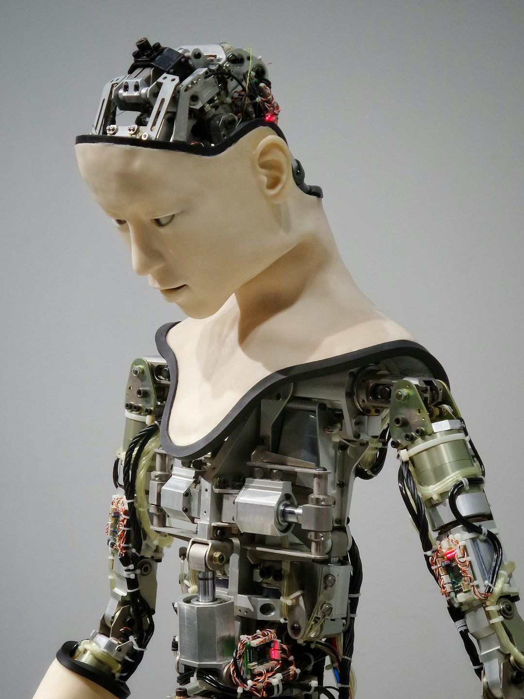 Haushaltsroboter
